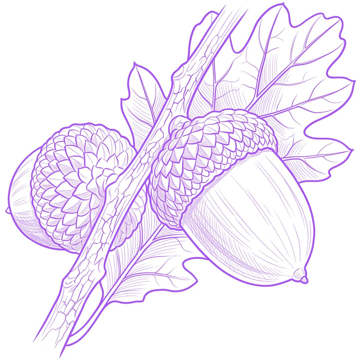 Acorn Tattoo Stencil