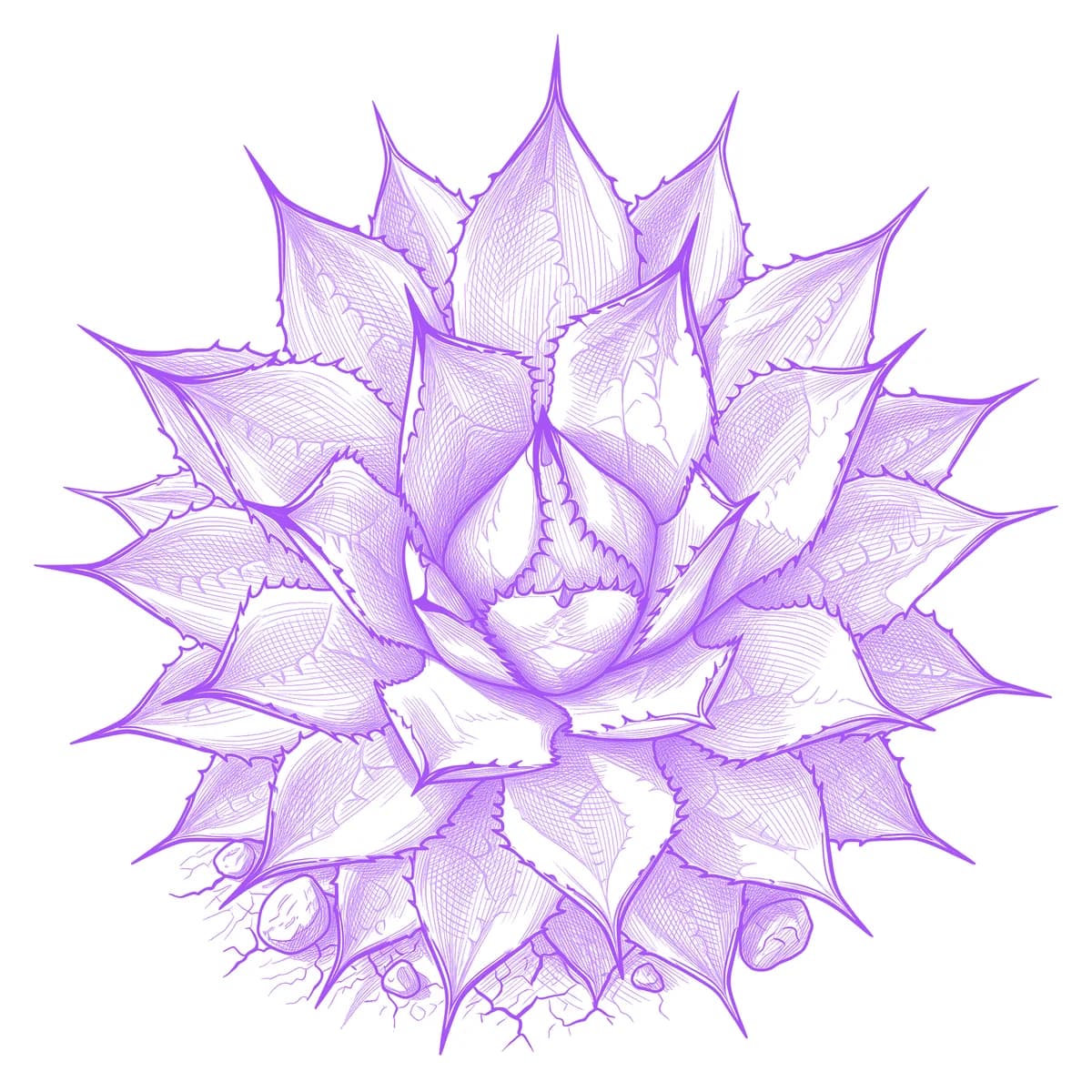 Agave Tattoo Stencil