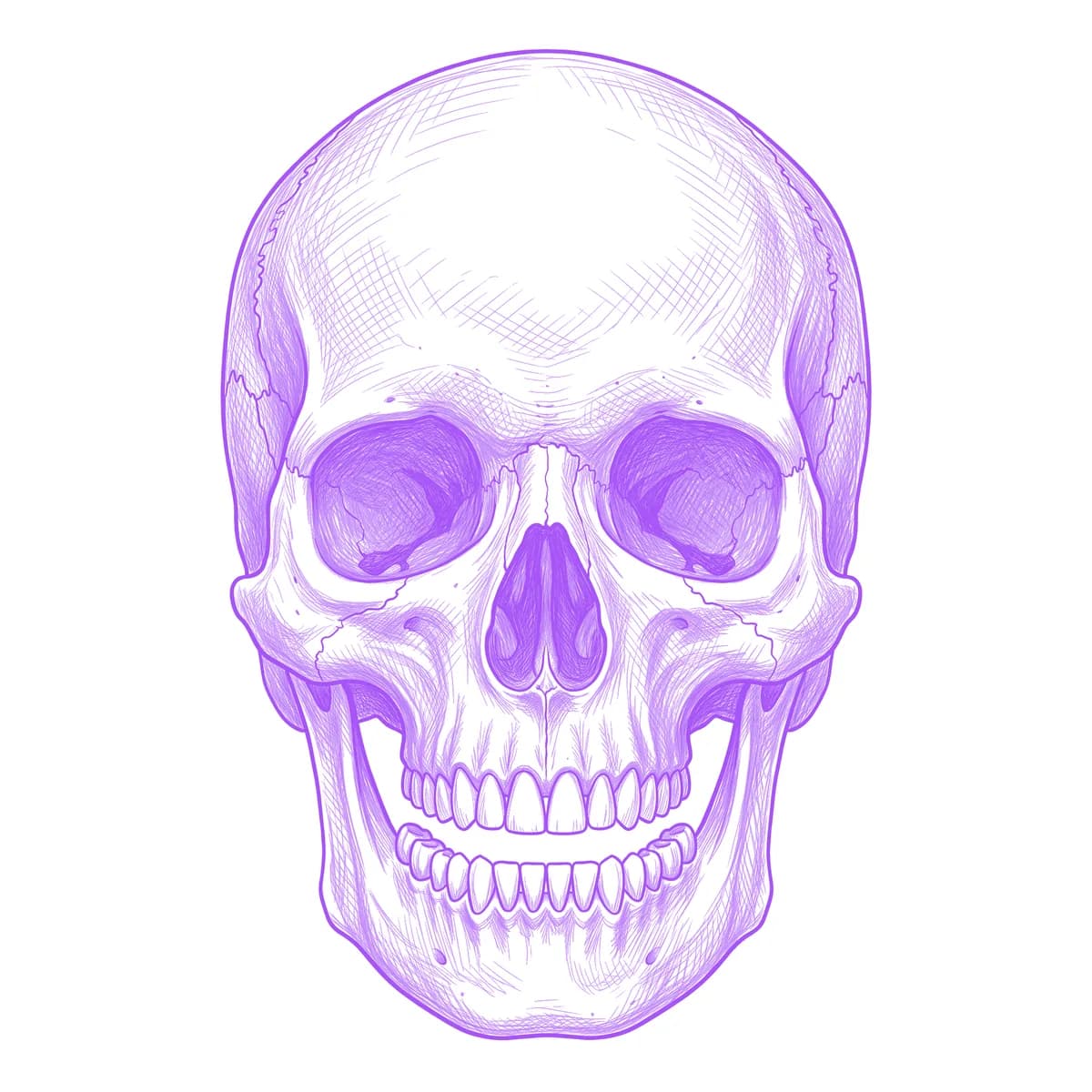 Anatomical Skull Tattoo Stencil