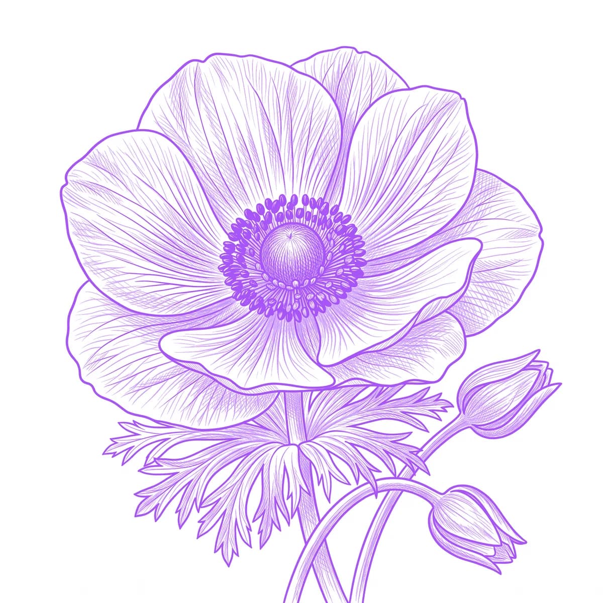 Anemone Tattoo Stencil