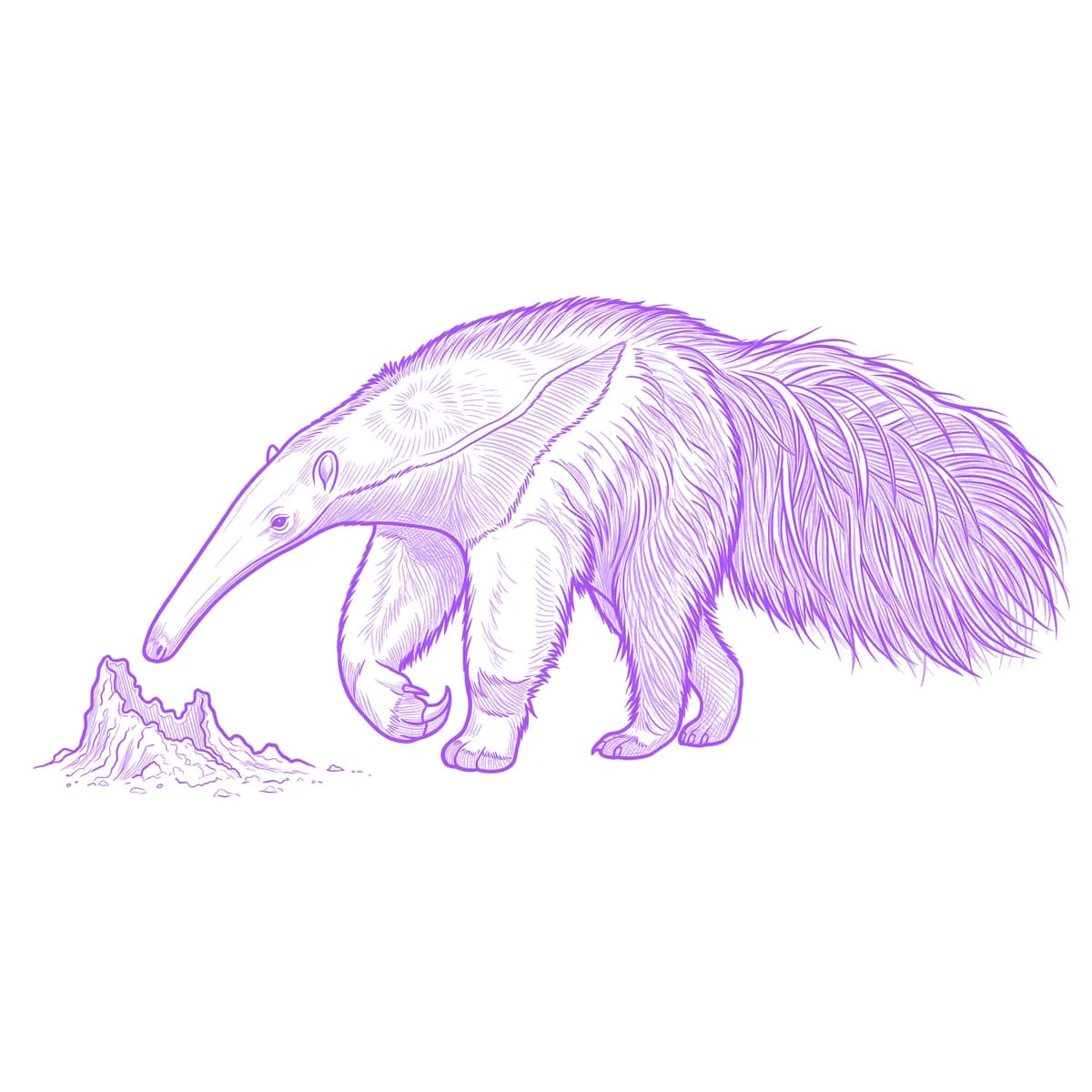 Anteater Tattoo Stencil