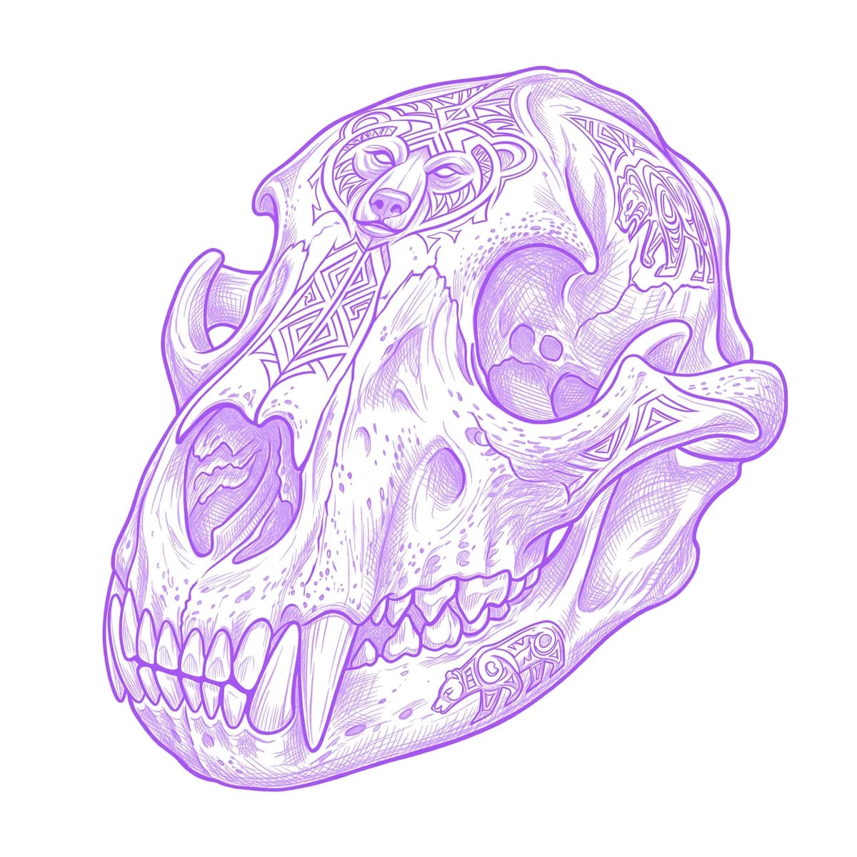 Bear Skull Stencil