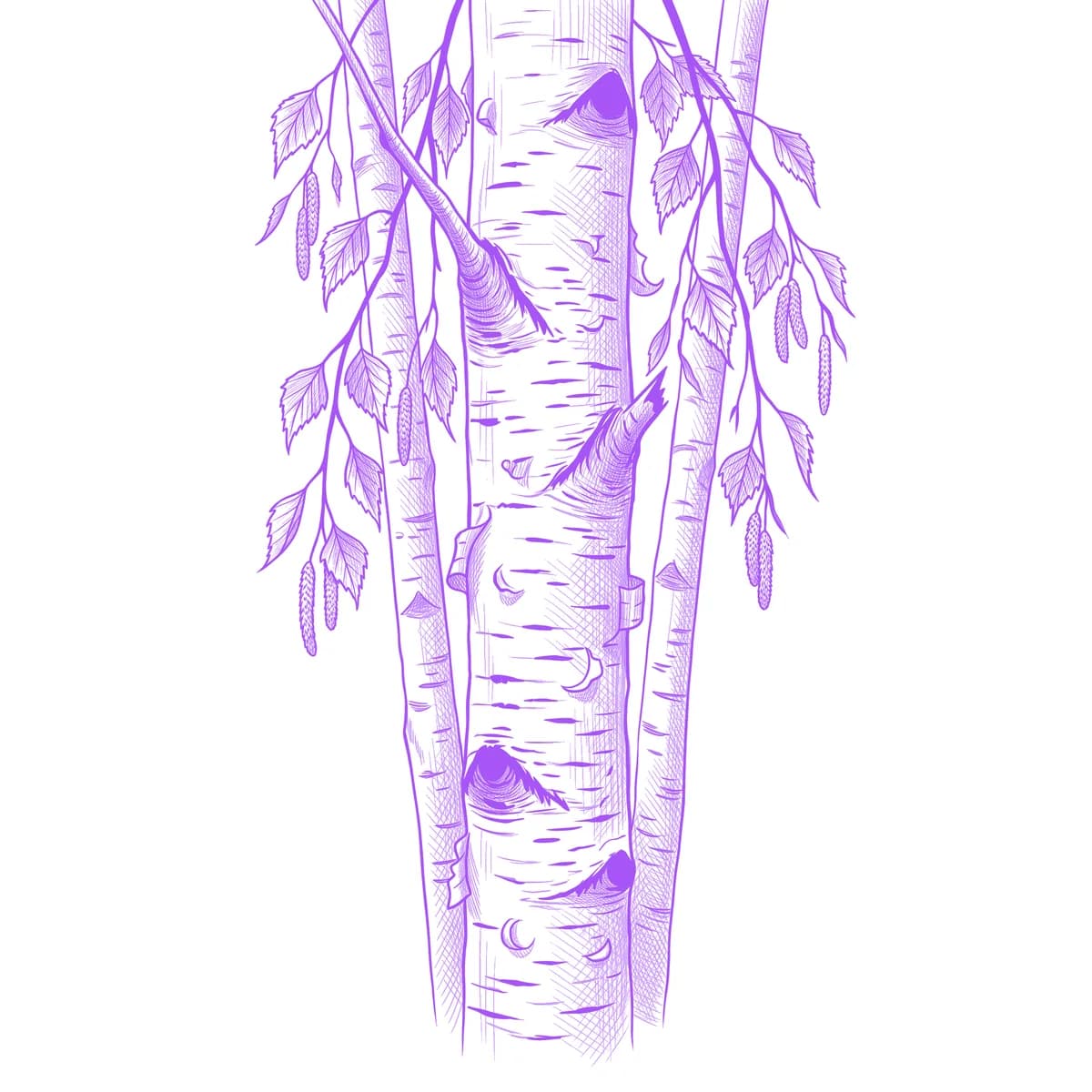 Birch Tree Tattoo Stencil