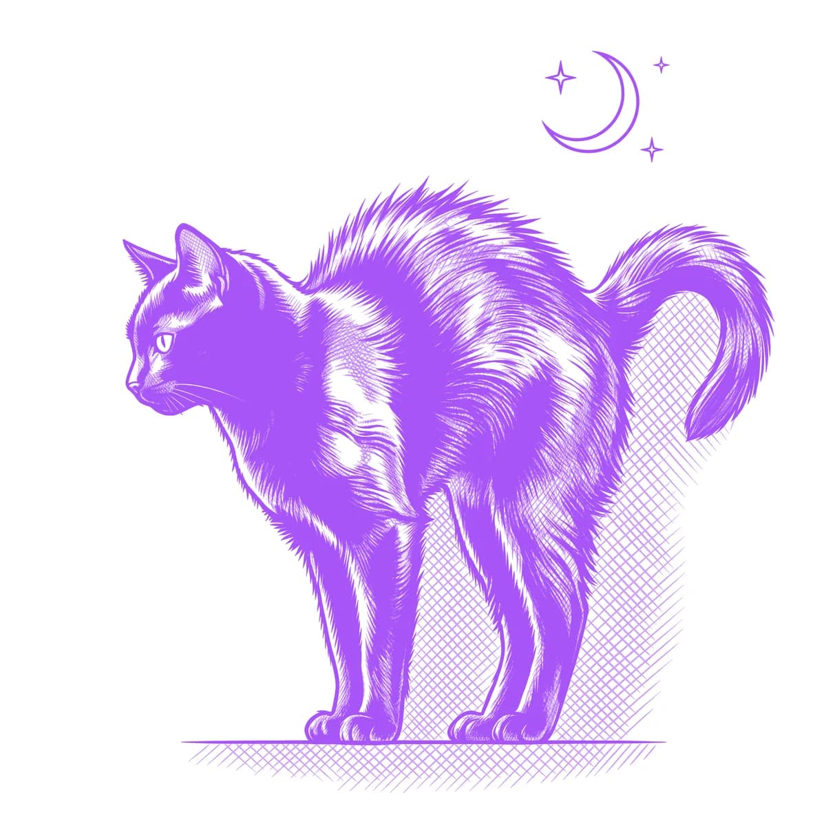 Black Cat Tattoo Stencil