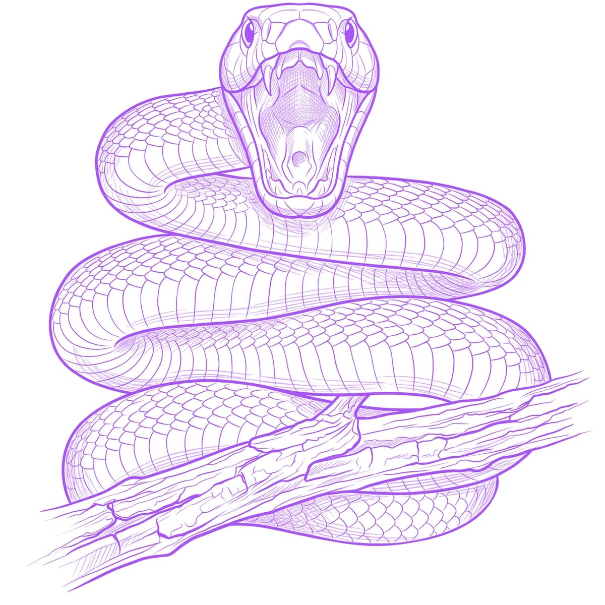 Black Mamba Tattoo Stencil