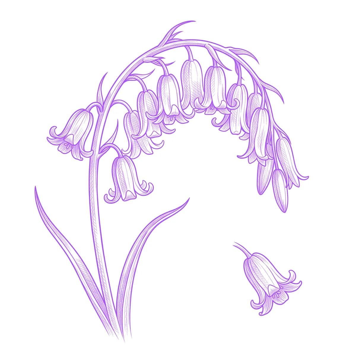 Bluebell Tattoo Stencil