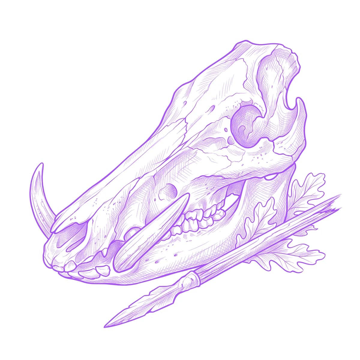 Boar Skull Tattoo Stencil