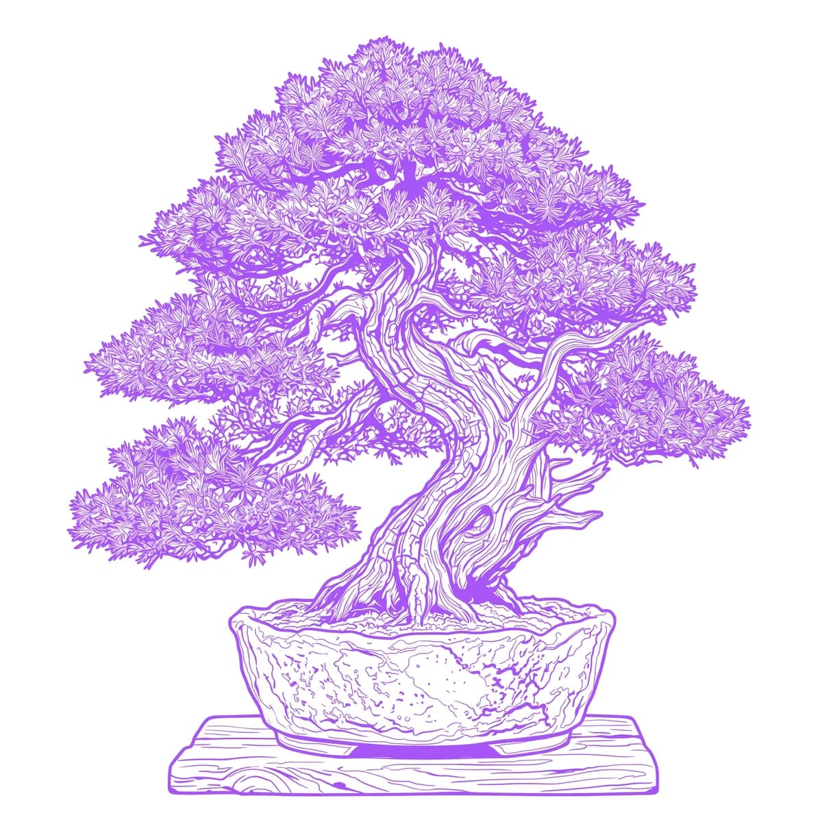 Bonsai Stencil