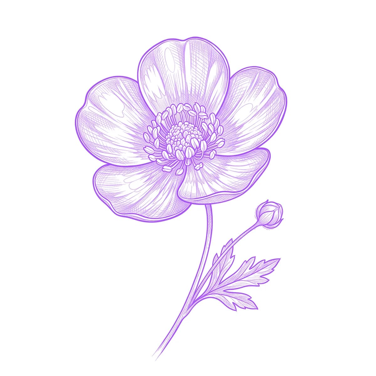 Buttercup Tattoo Stencil