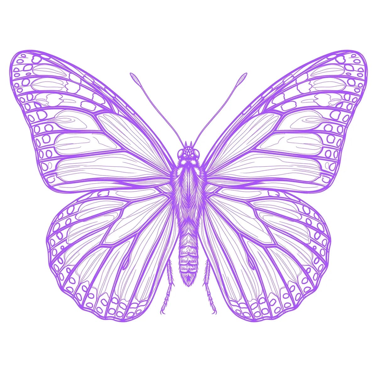 Farfalla Stencil