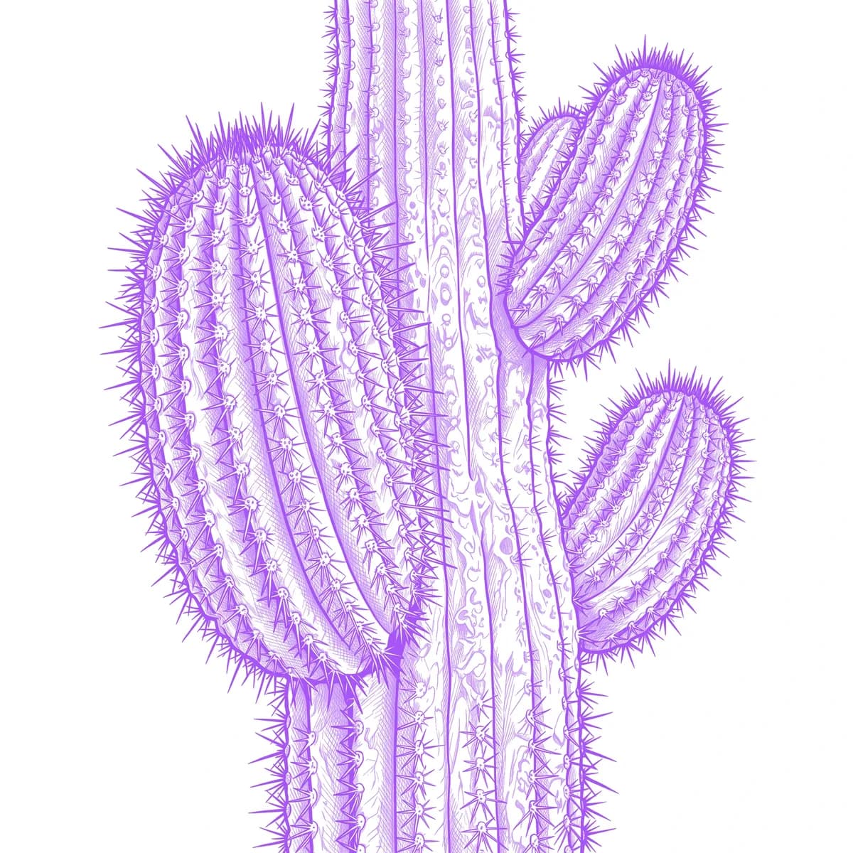 Cactus Stencil