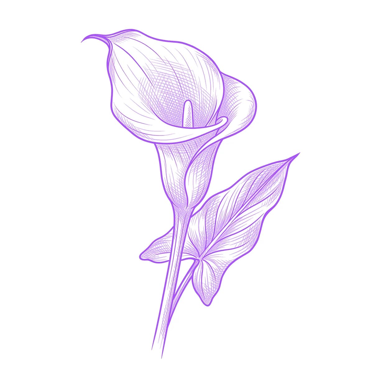 Calla Lily Tattoo Stencil