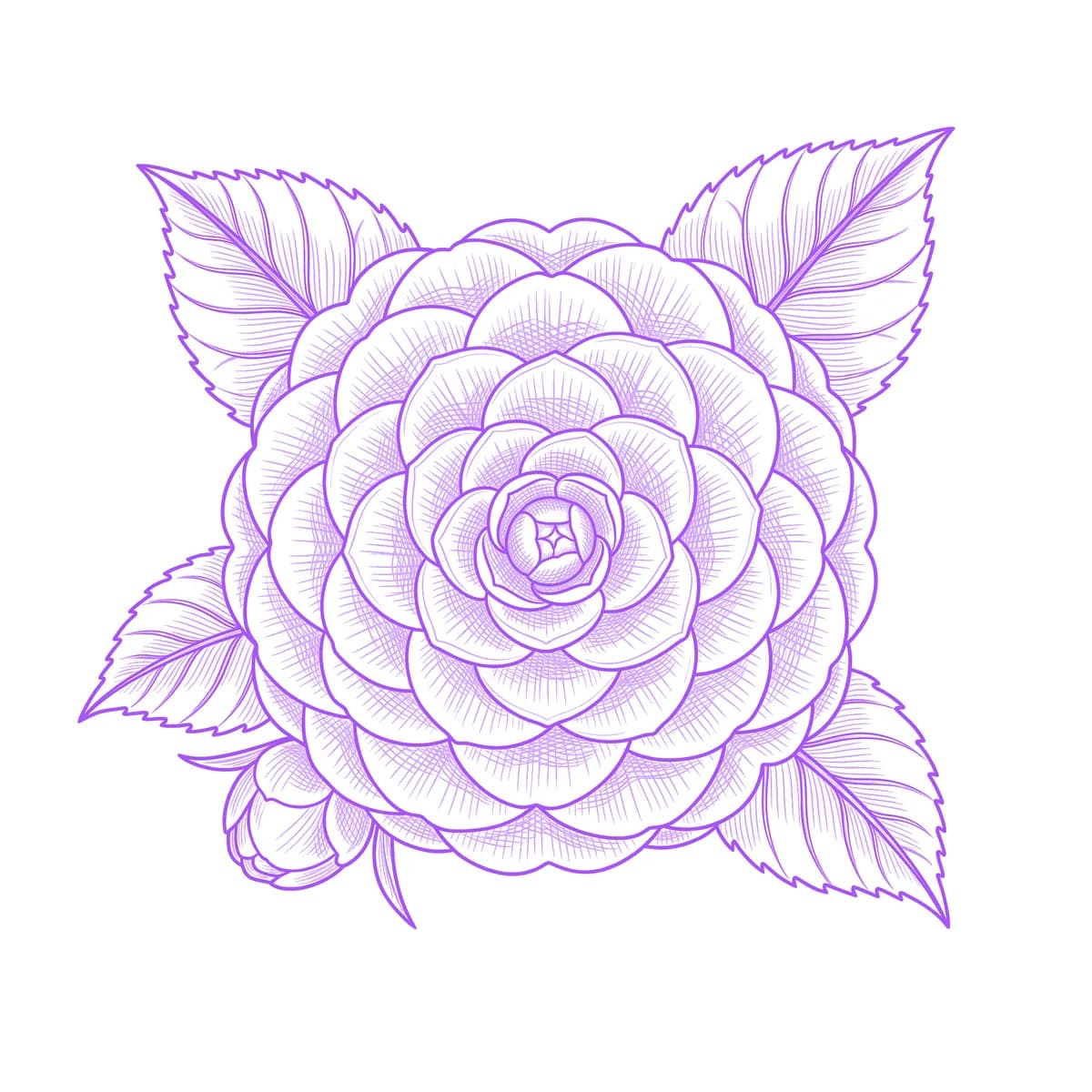 Camellia Tattoo Stencil