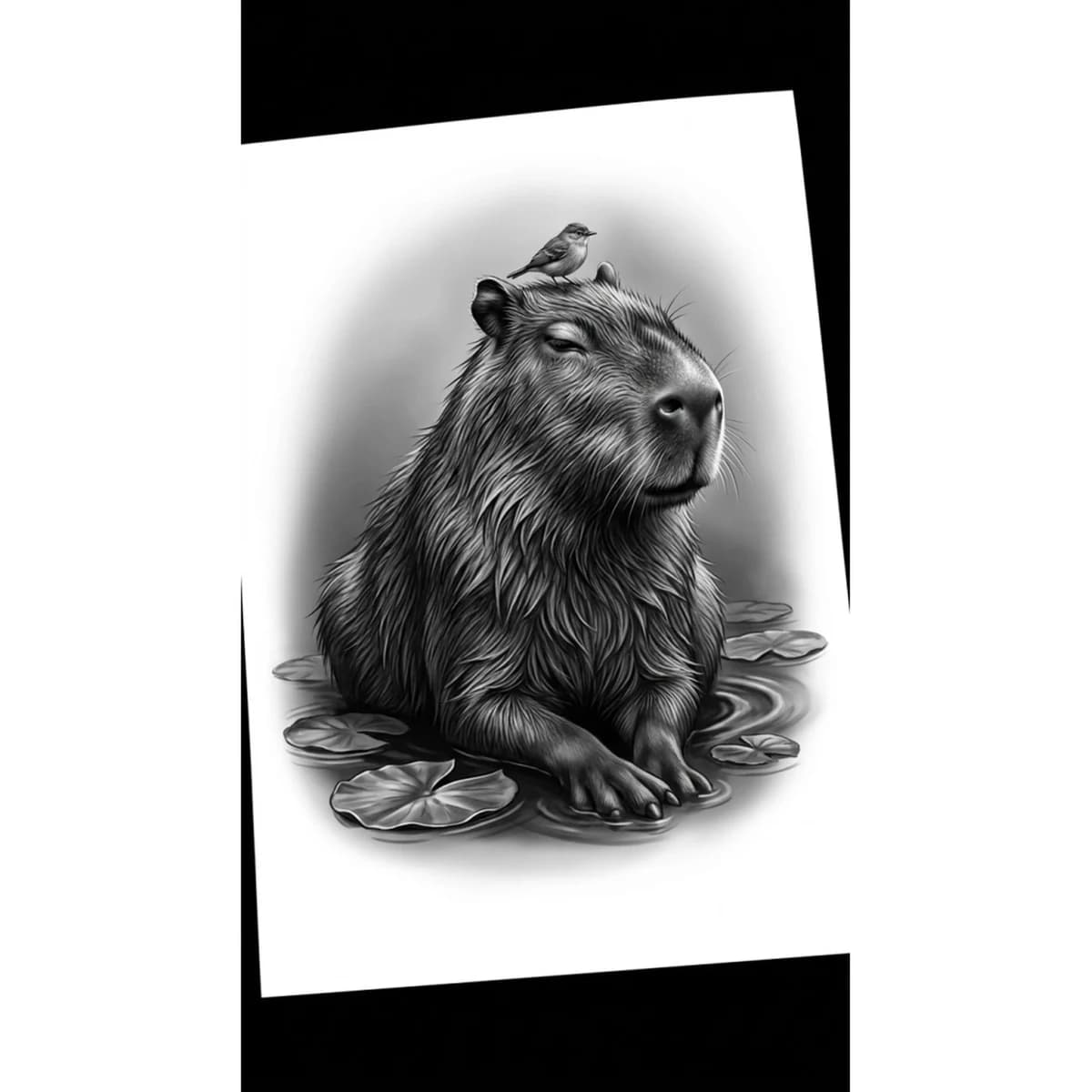 Capybara Reference