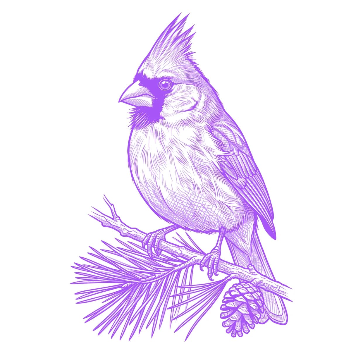 Cardinal Tattoo Stencil