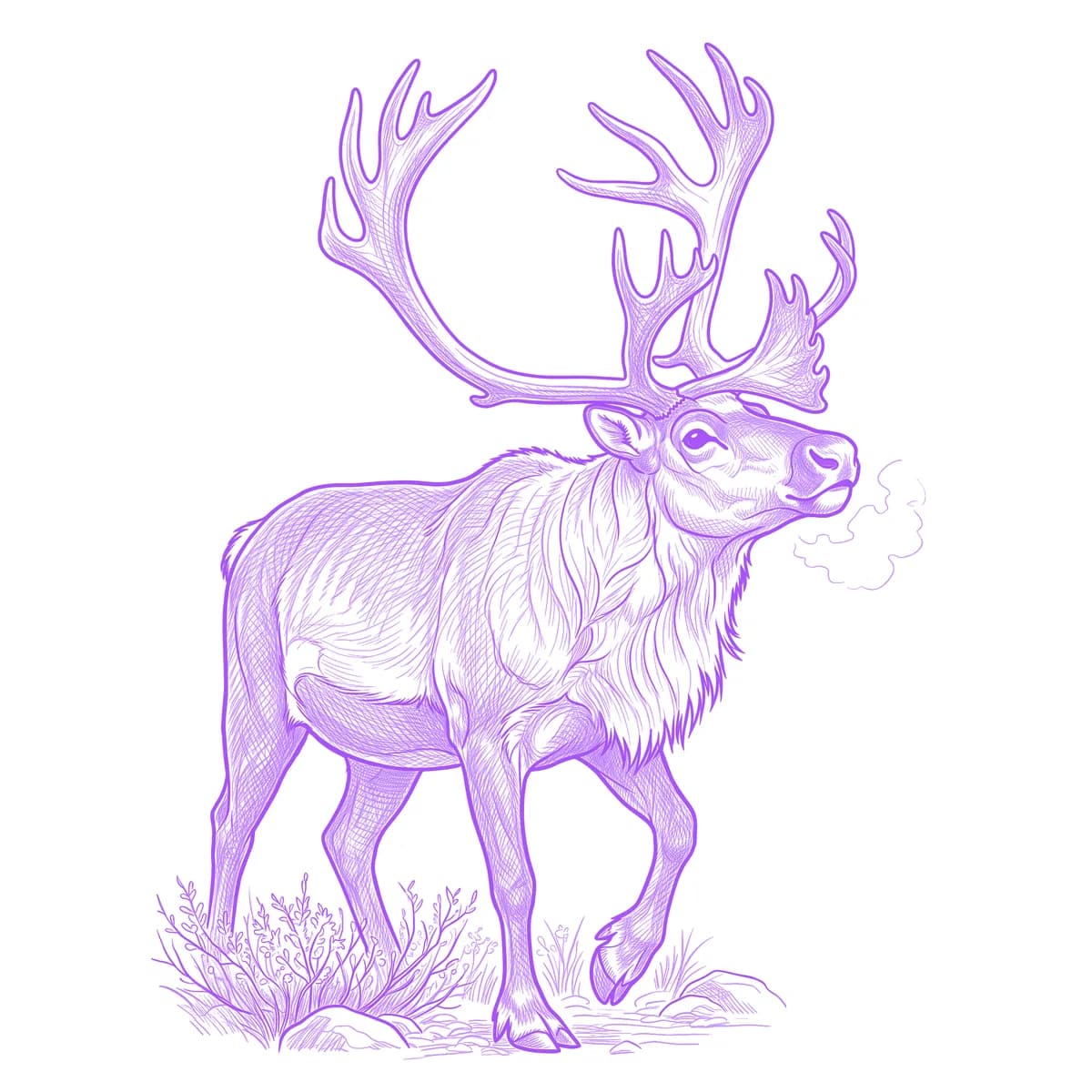 Caribou Tattoo Stencil