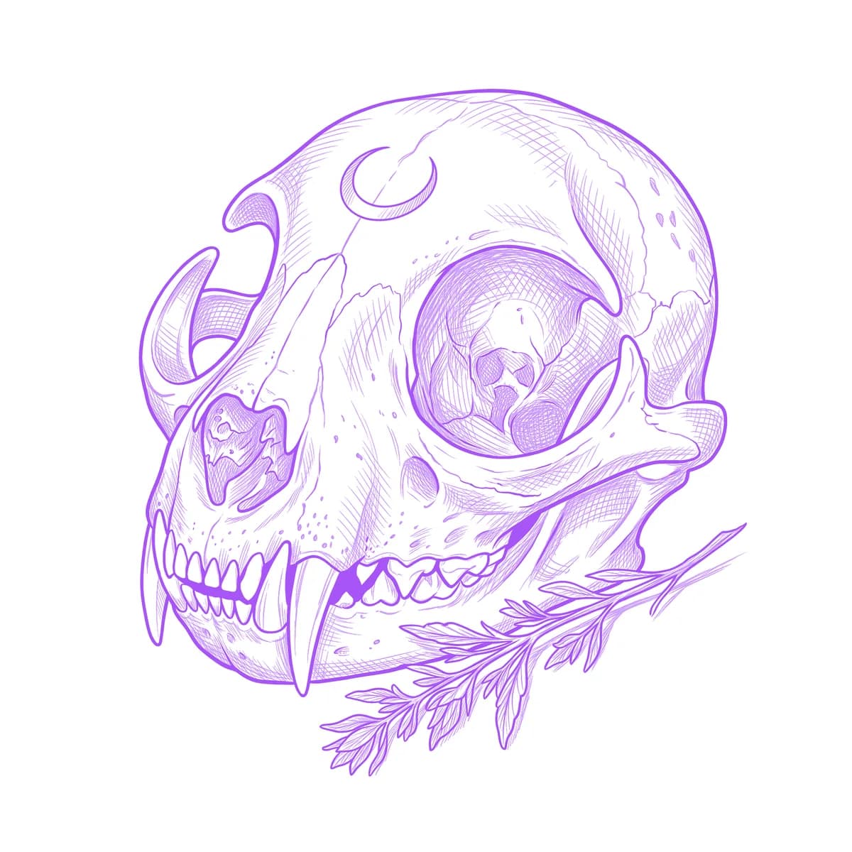 Cat Skull Tattoo Stencil