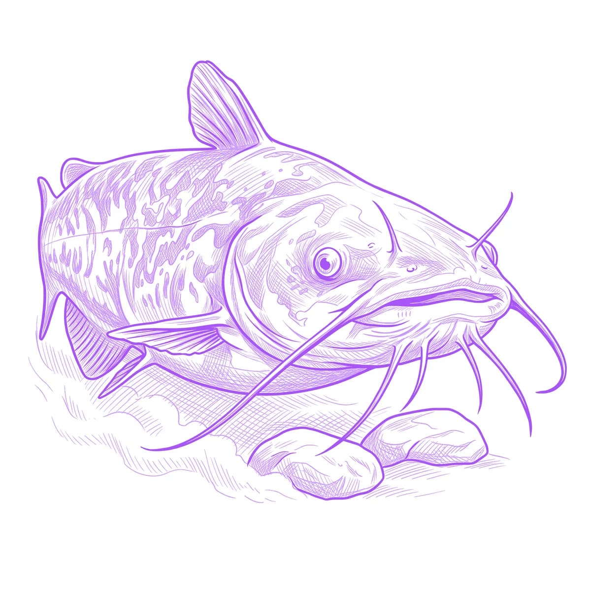 Catfish Tattoo Stencil
