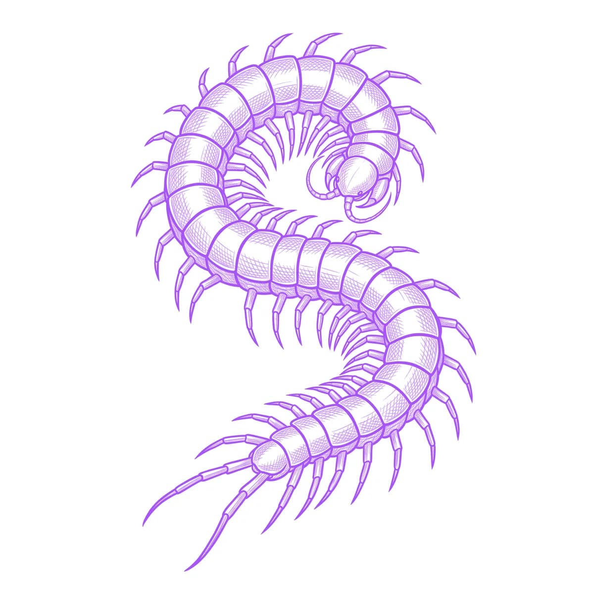 Centipede Tattoo Stencil