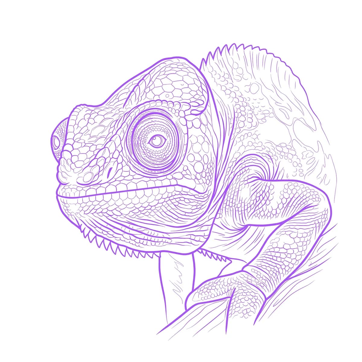 Chameleon Stencil
