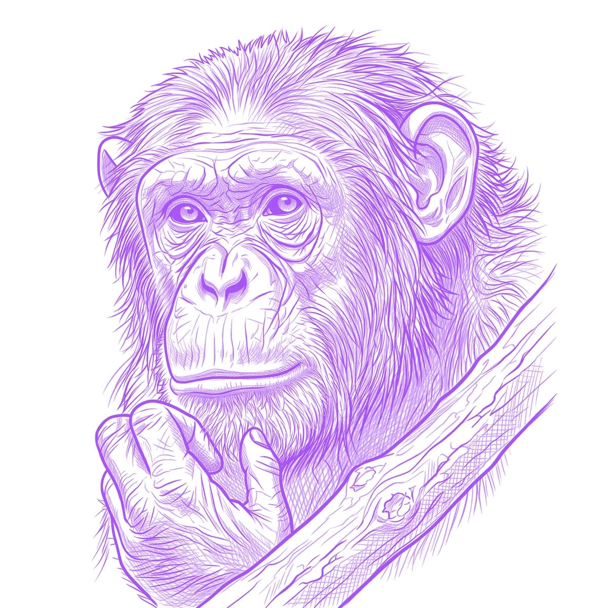 Chimpanzee Tattoo Stencil