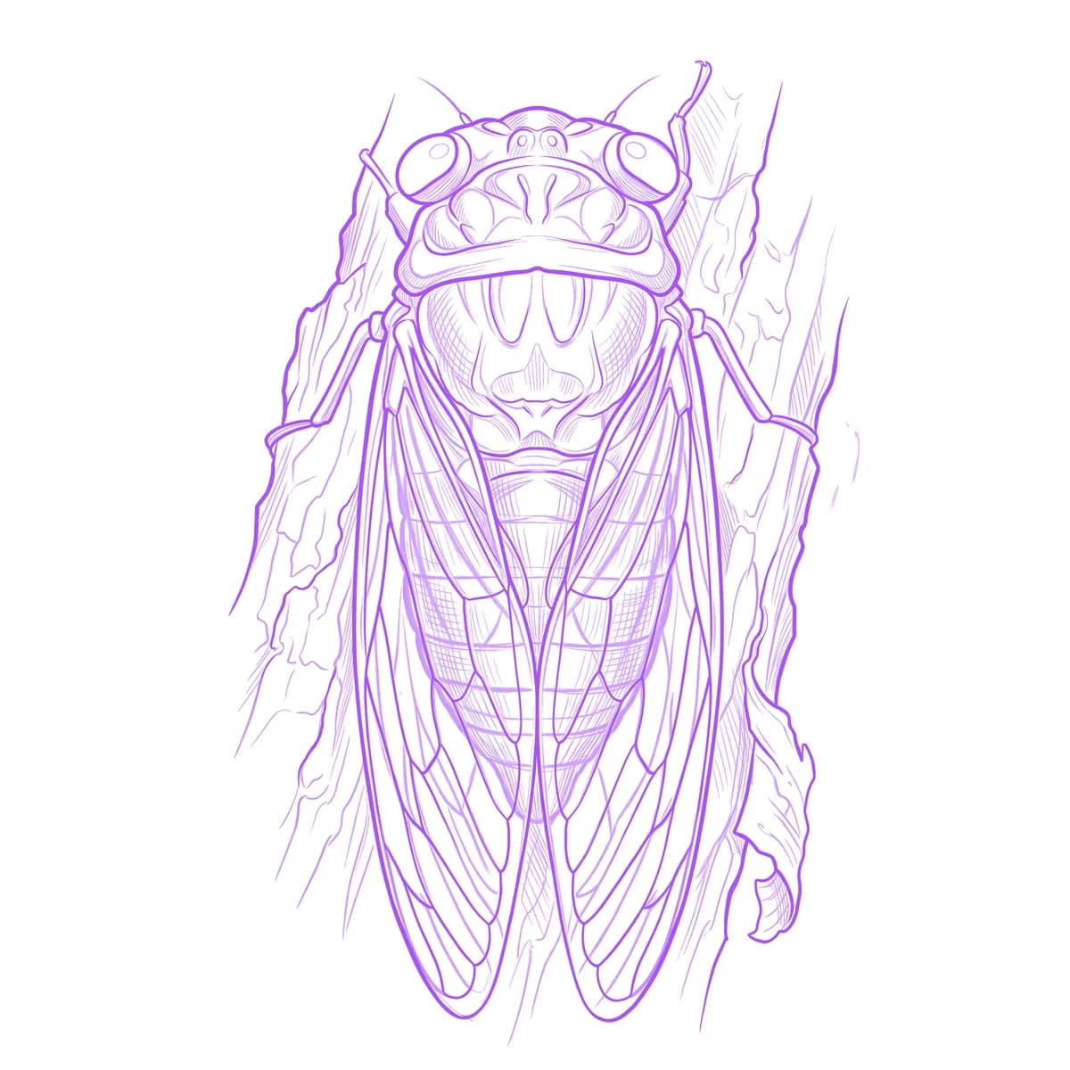 Cicada Tattoo Stencil