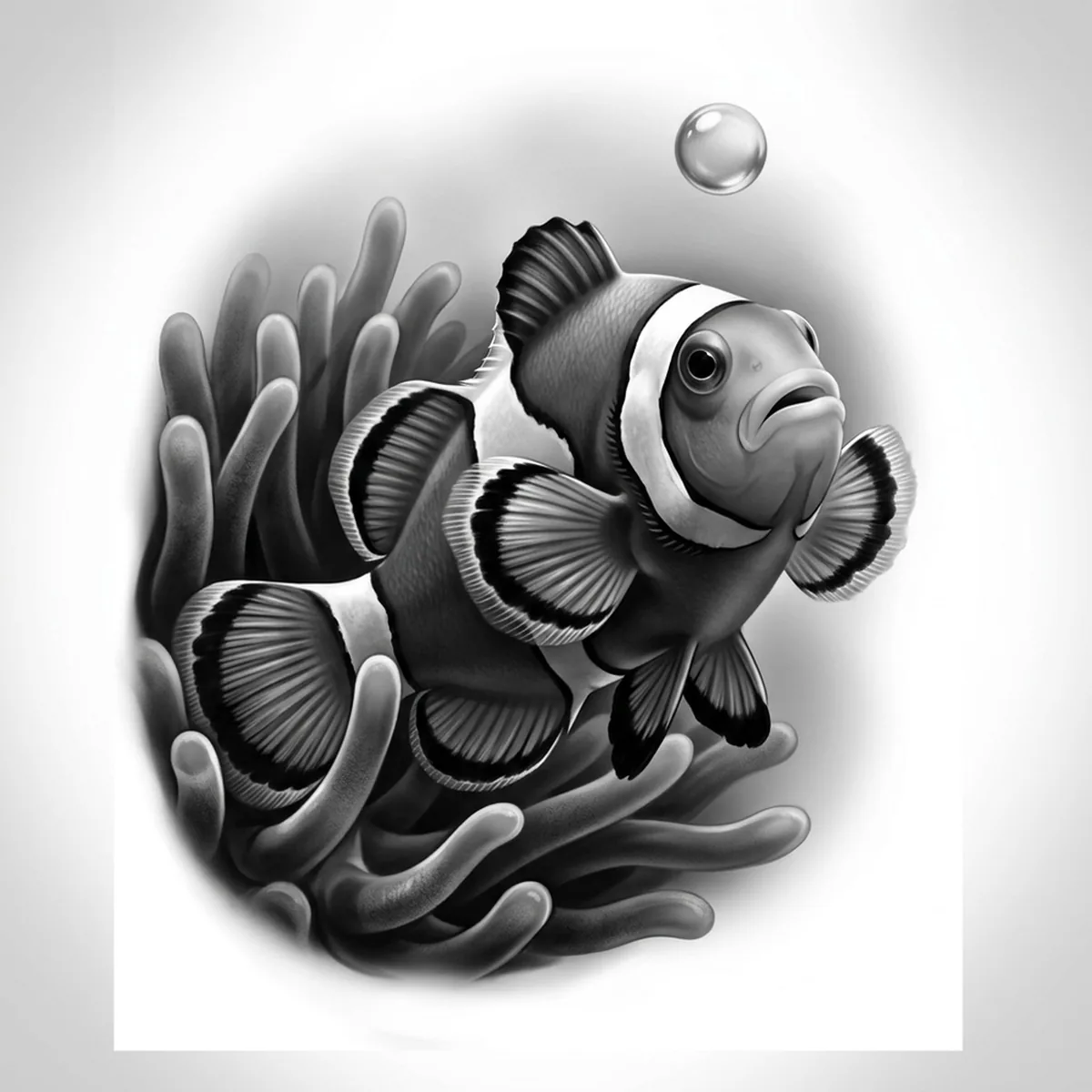 Clownfish — Reference