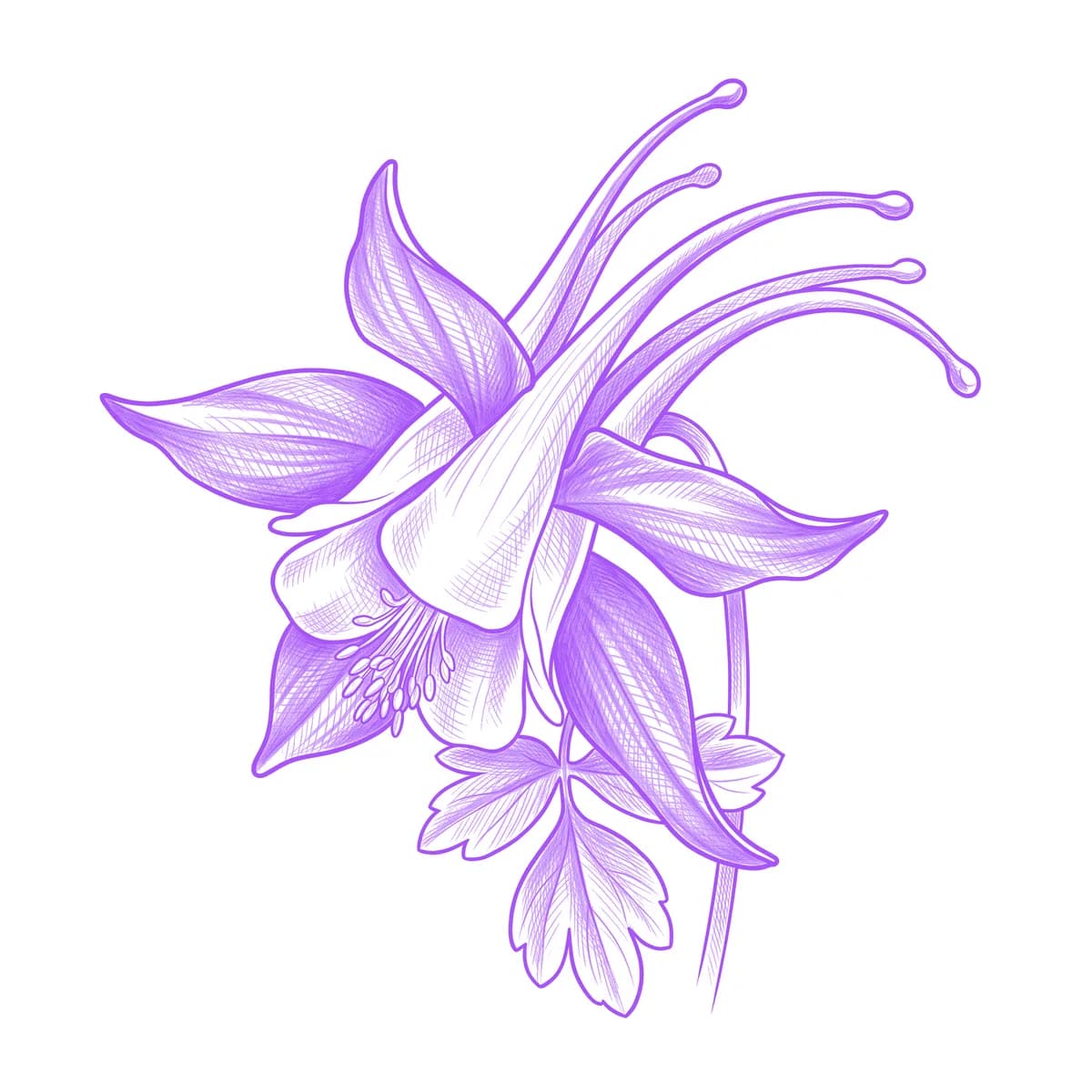 Columbine Tattoo Stencil