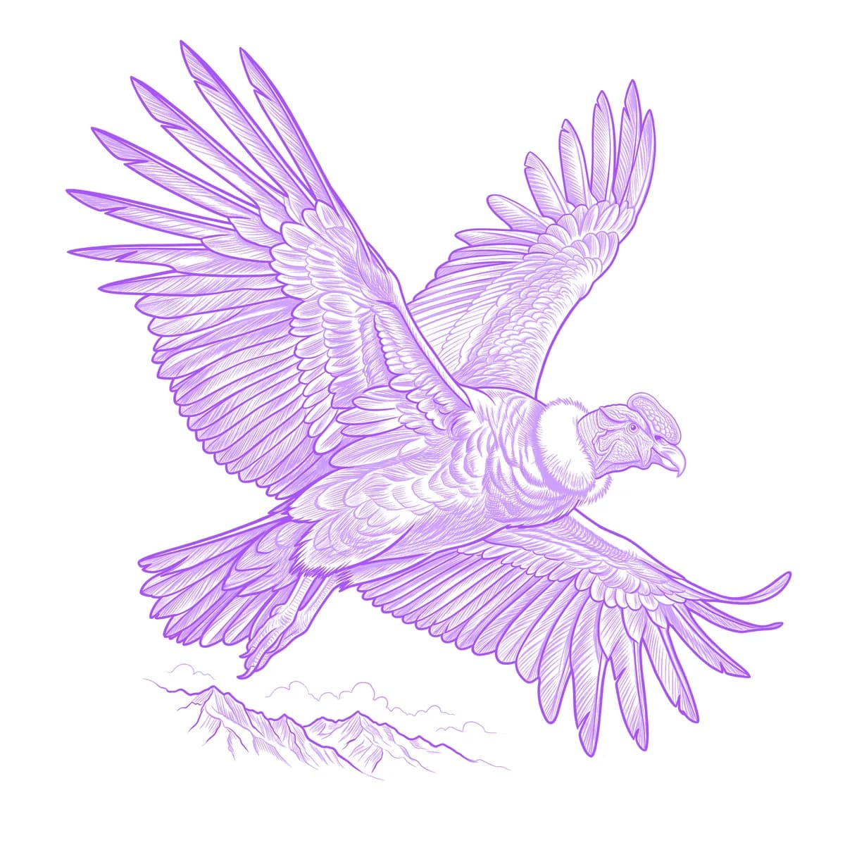 Condor Tattoo Stencil