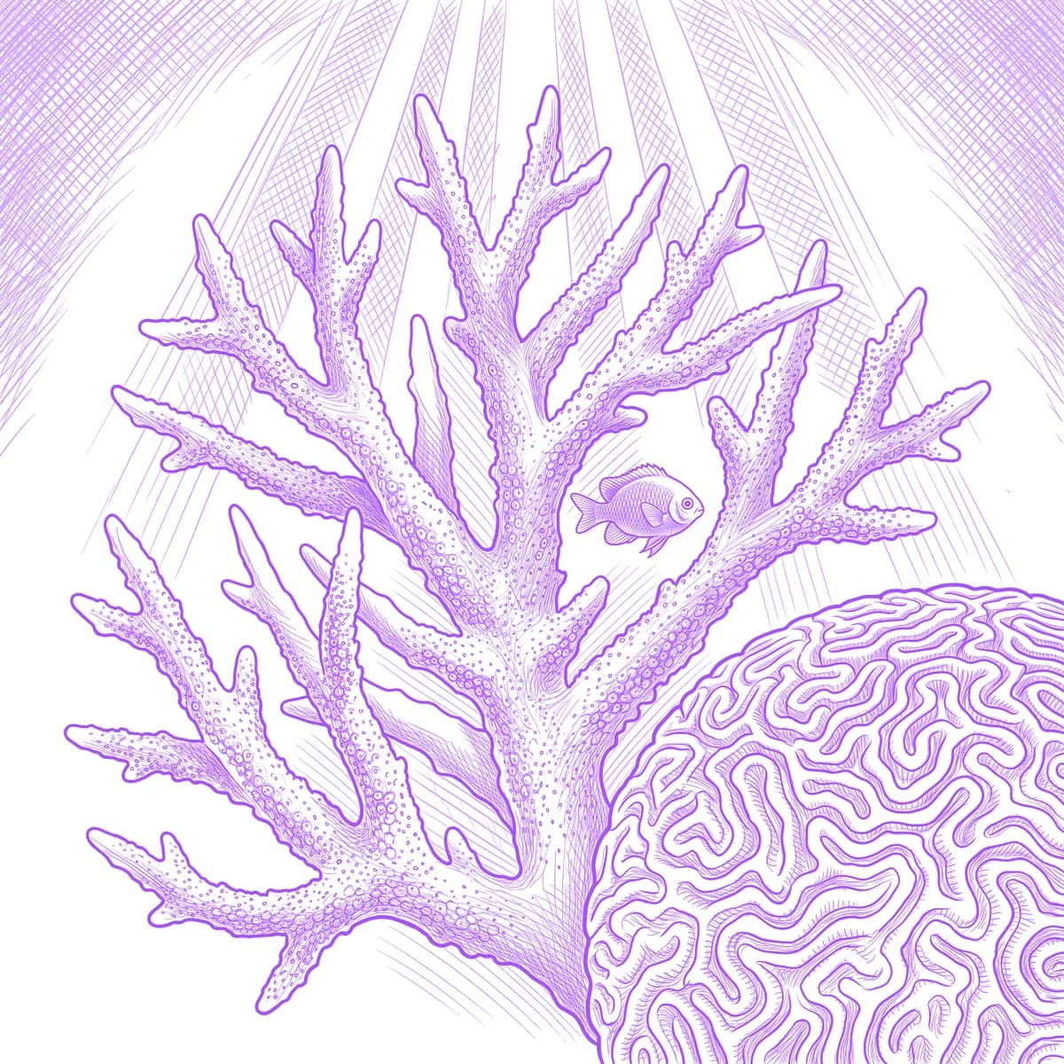 Coral Tattoo Stencil