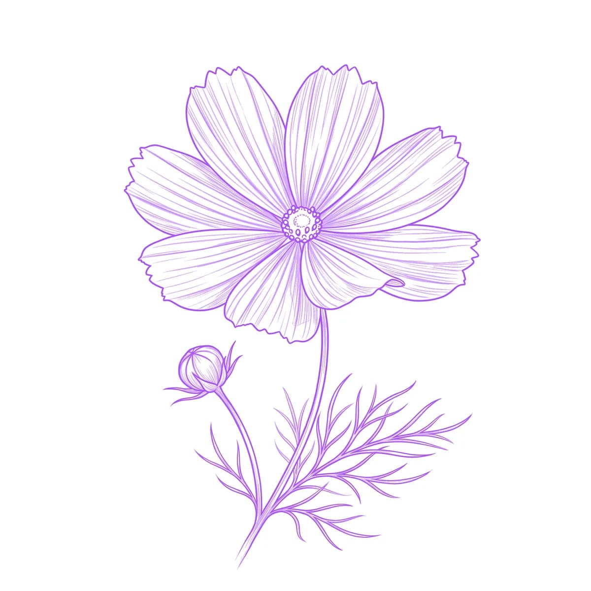 Cosmos Flower Tattoo Stencil
