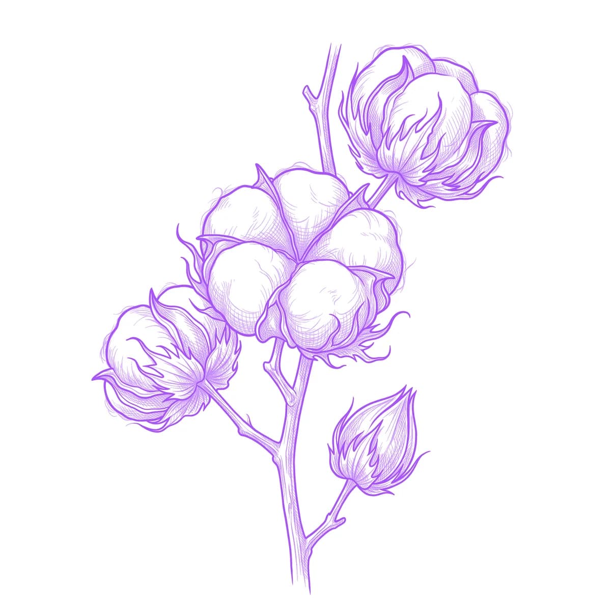 Cotton Flower Tattoo Stencil