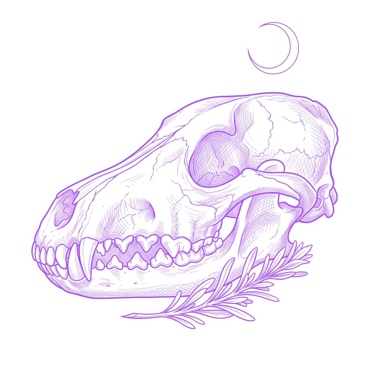 Coyote Skull Tattoo Stencil