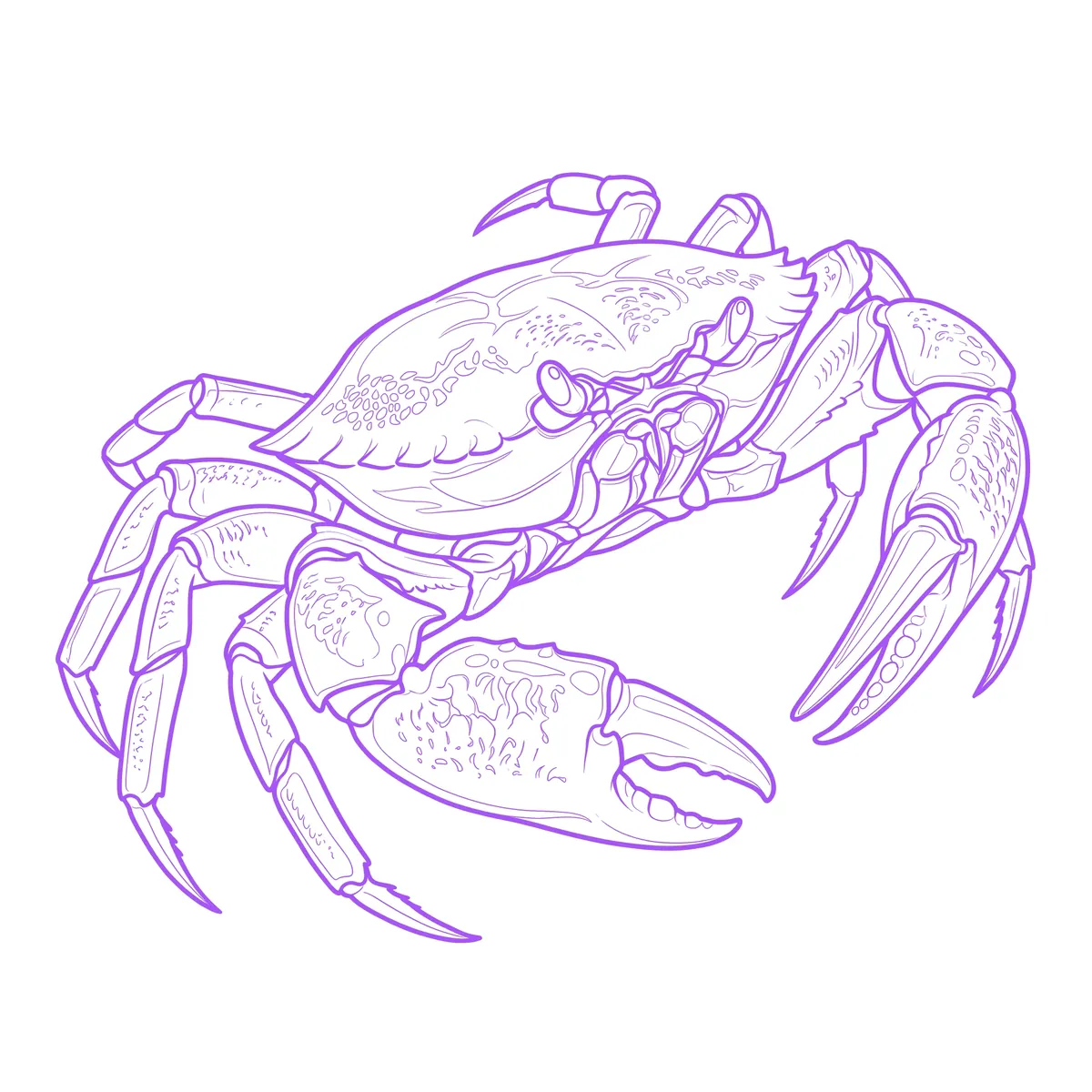 Crab Stencil