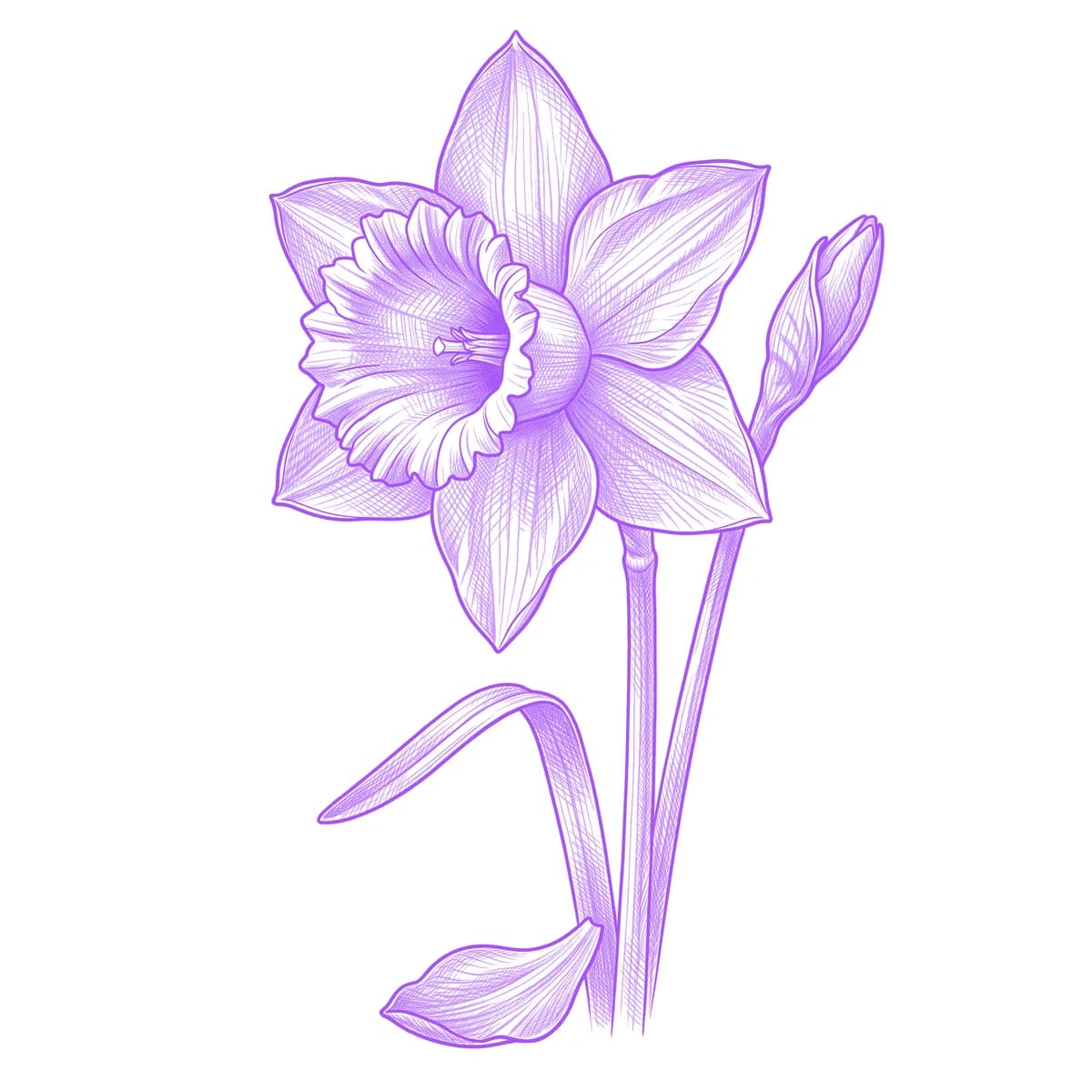 Daffodil Tattoo Stencil