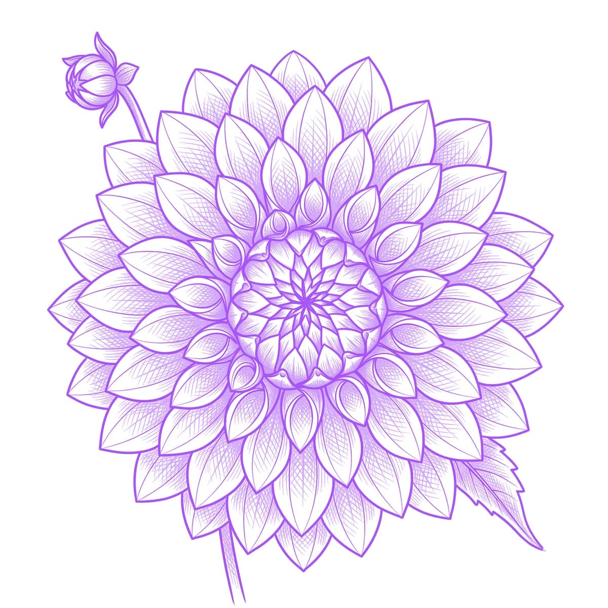 Dahlia Tattoo Stencil