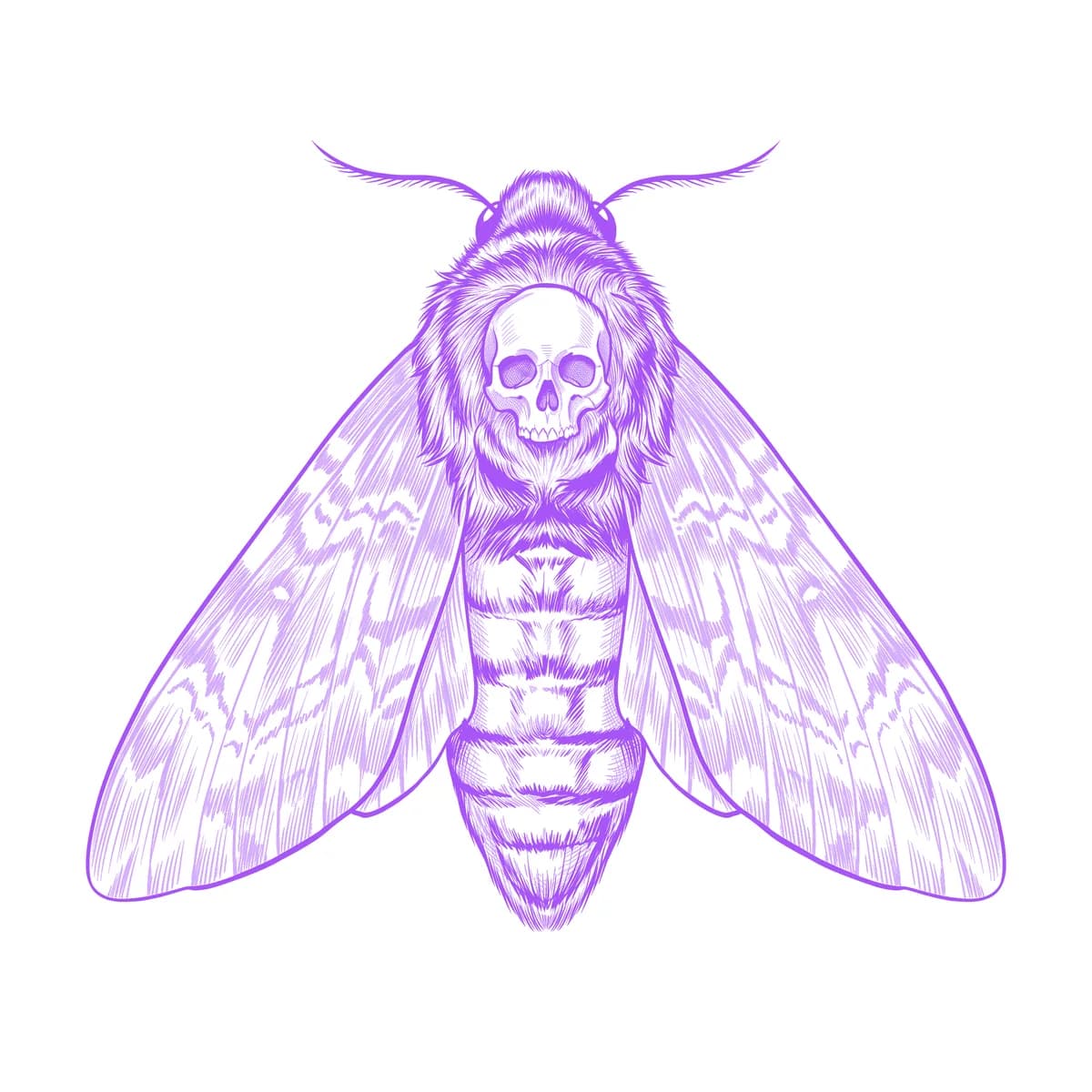 Death Head Moth Tattoo Stencil