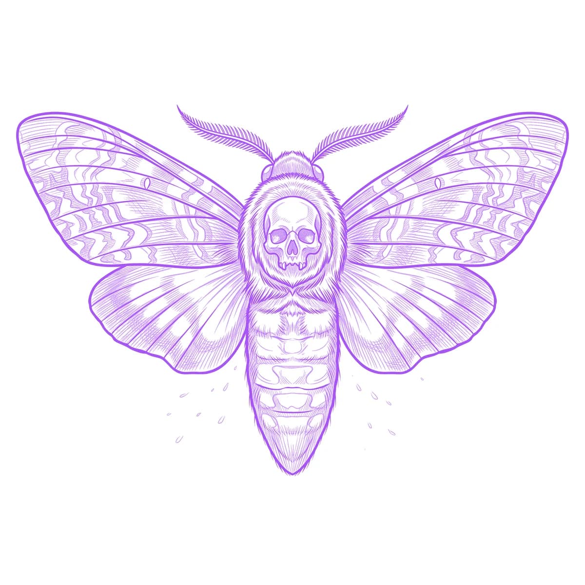 Death Moth Tattoo Stencil