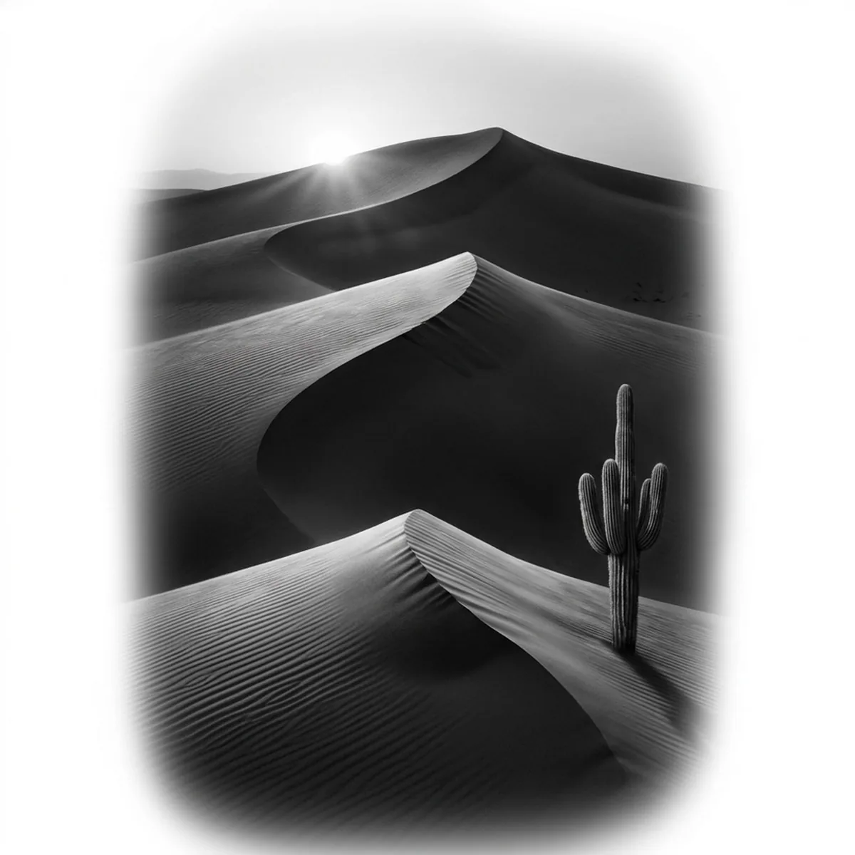 Desert — Reference