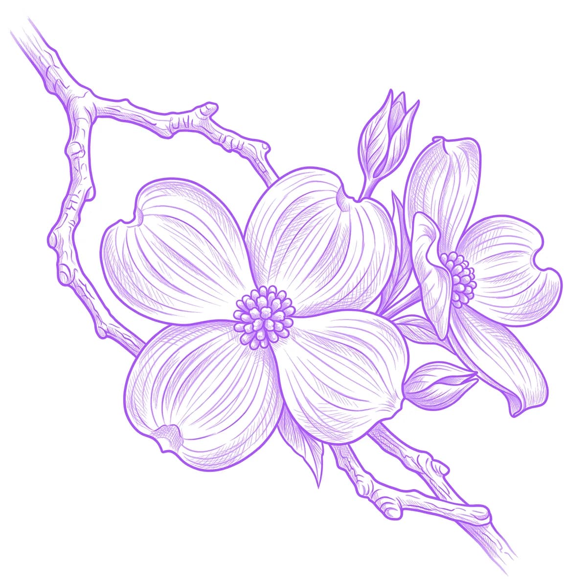 Dogwood Flower Tattoo Stencil