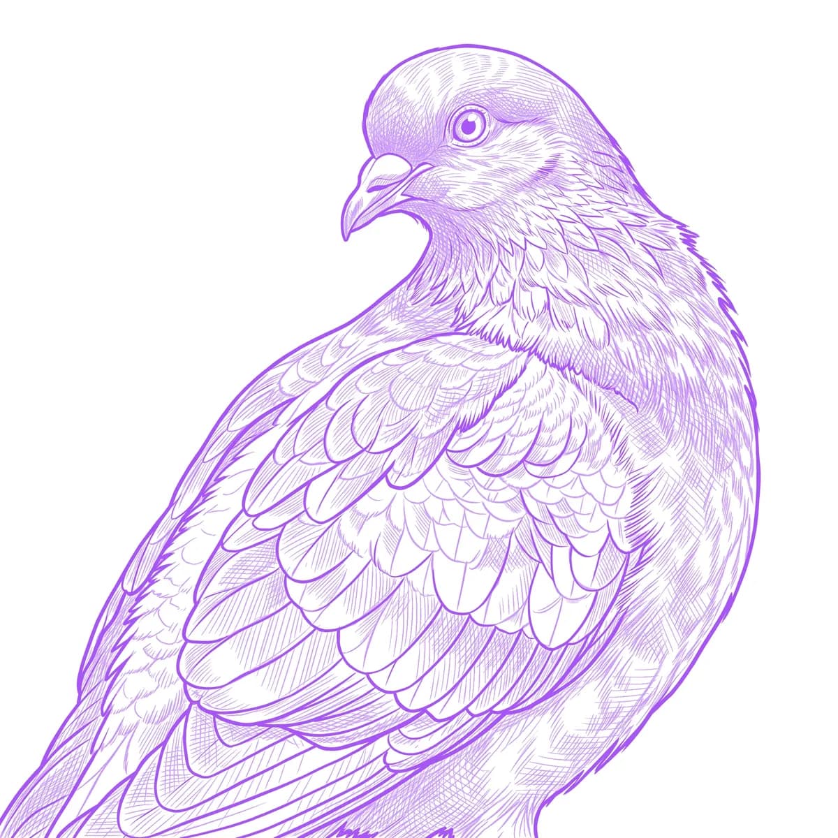 Dove Stencil