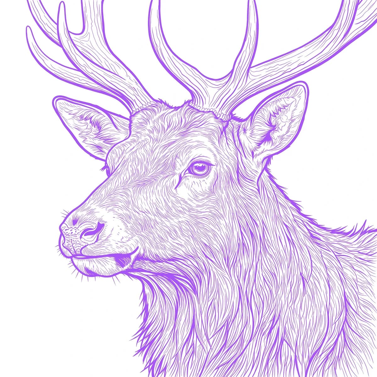 Wapiti Stencil