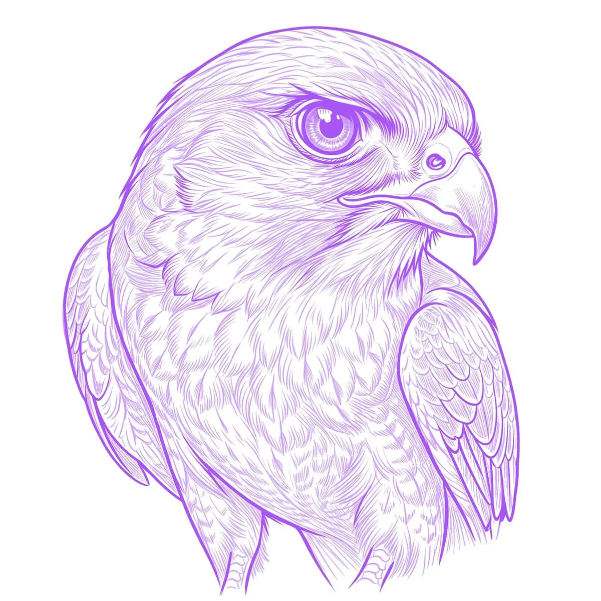 Falcon Stencil