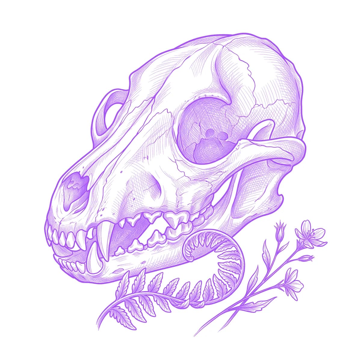 Fox Skull Tattoo Stencil