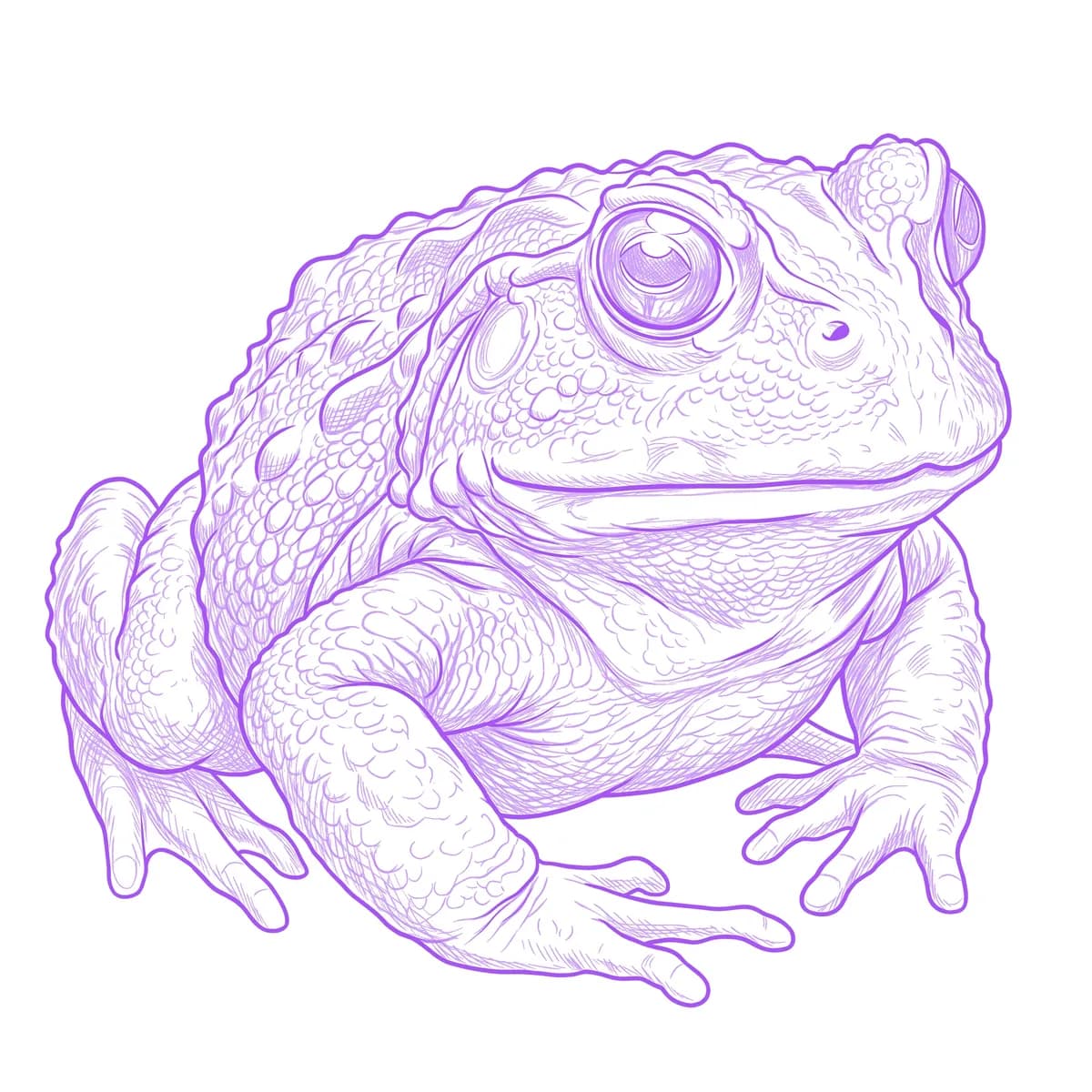 Frog Stencil
