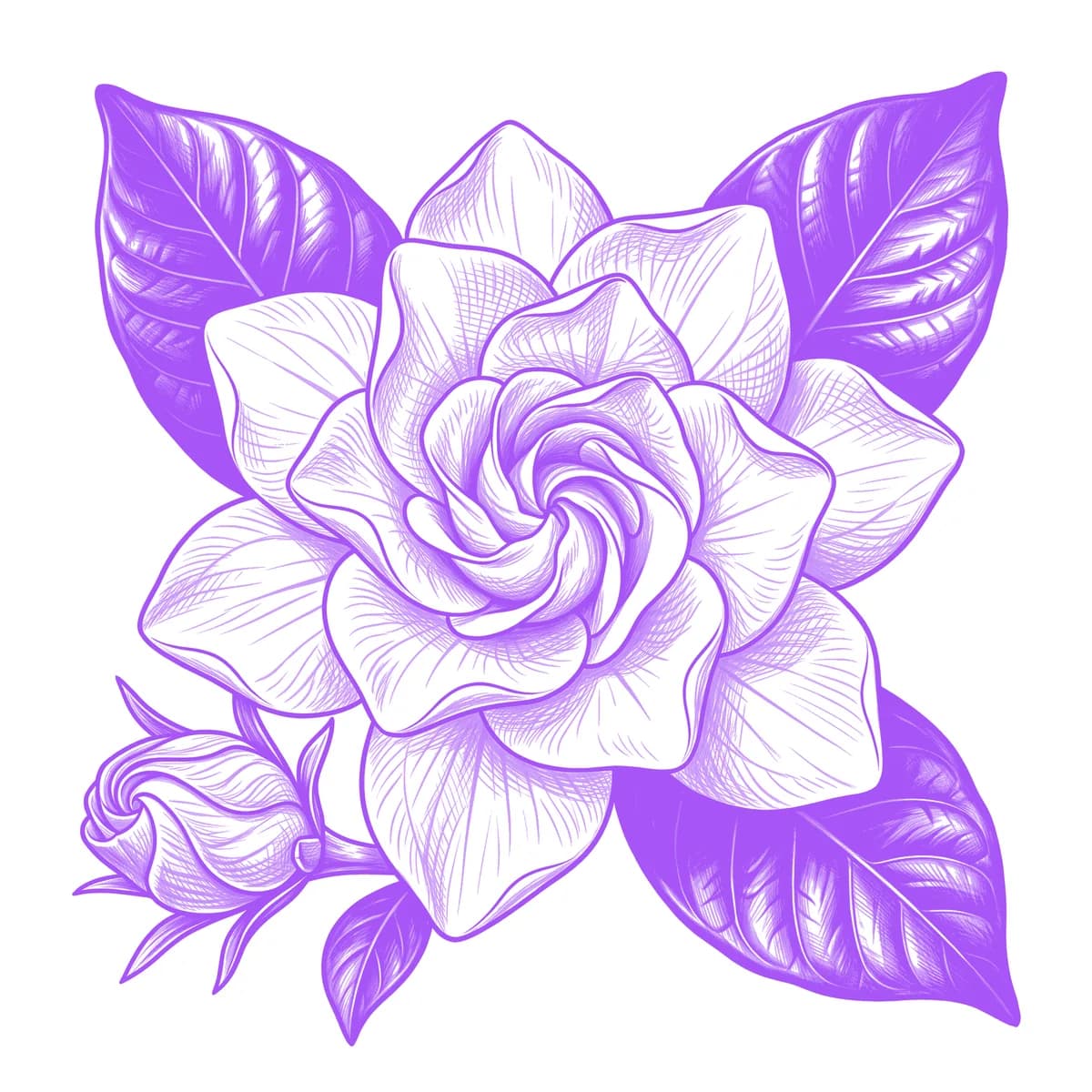 Gardenia Tattoo Stencil