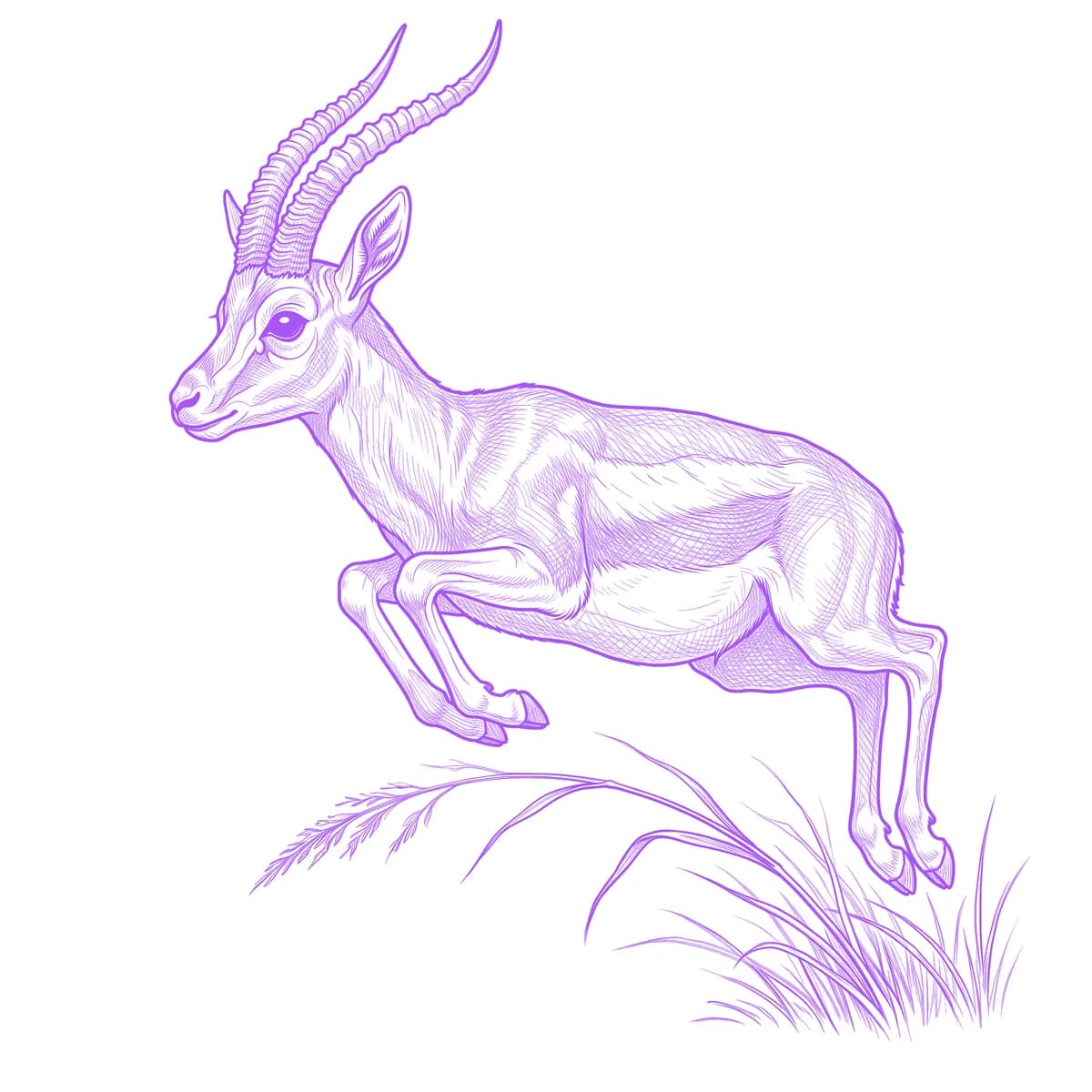 Gazelle Tattoo Stencil