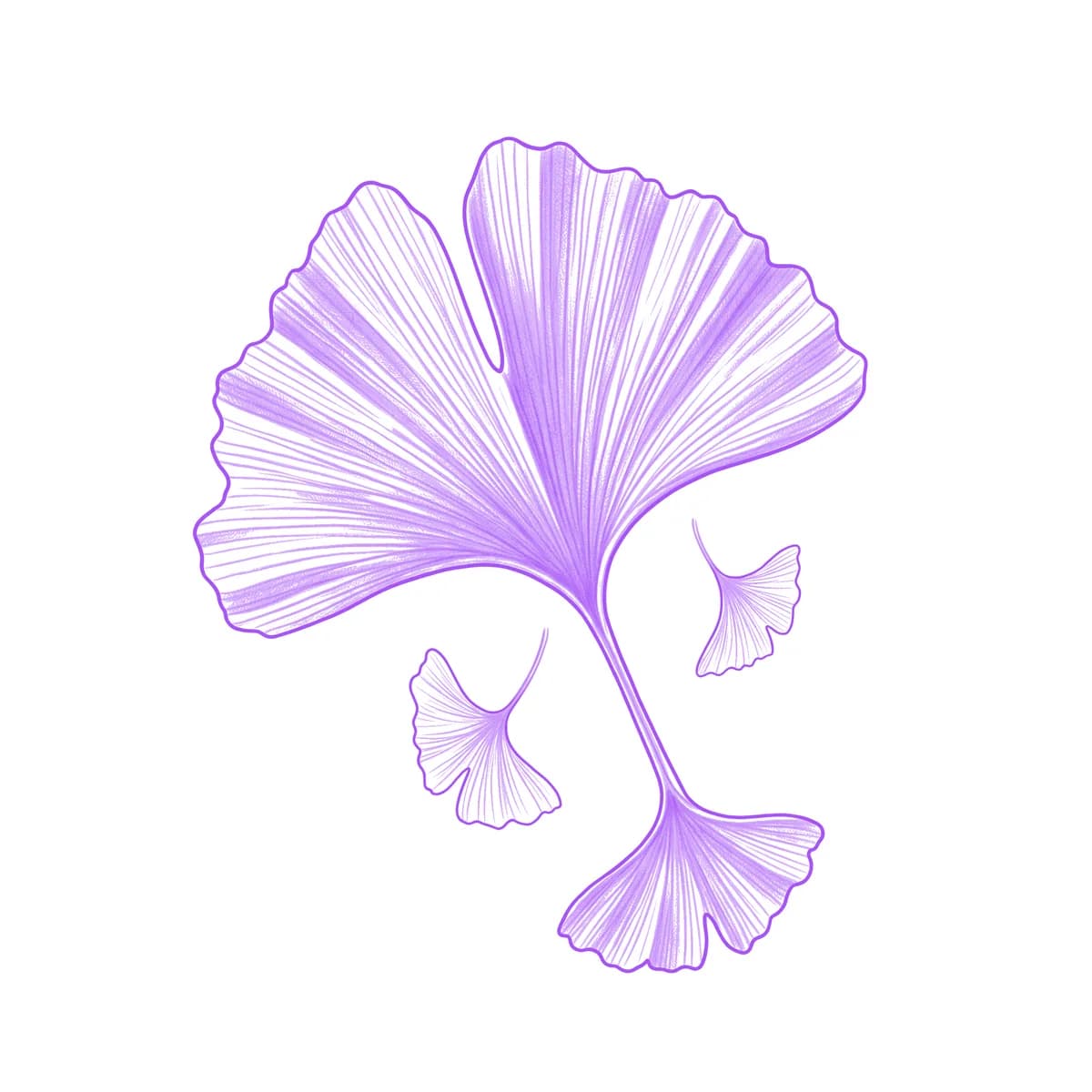 Ginkgo Leaf Tattoo Stencil