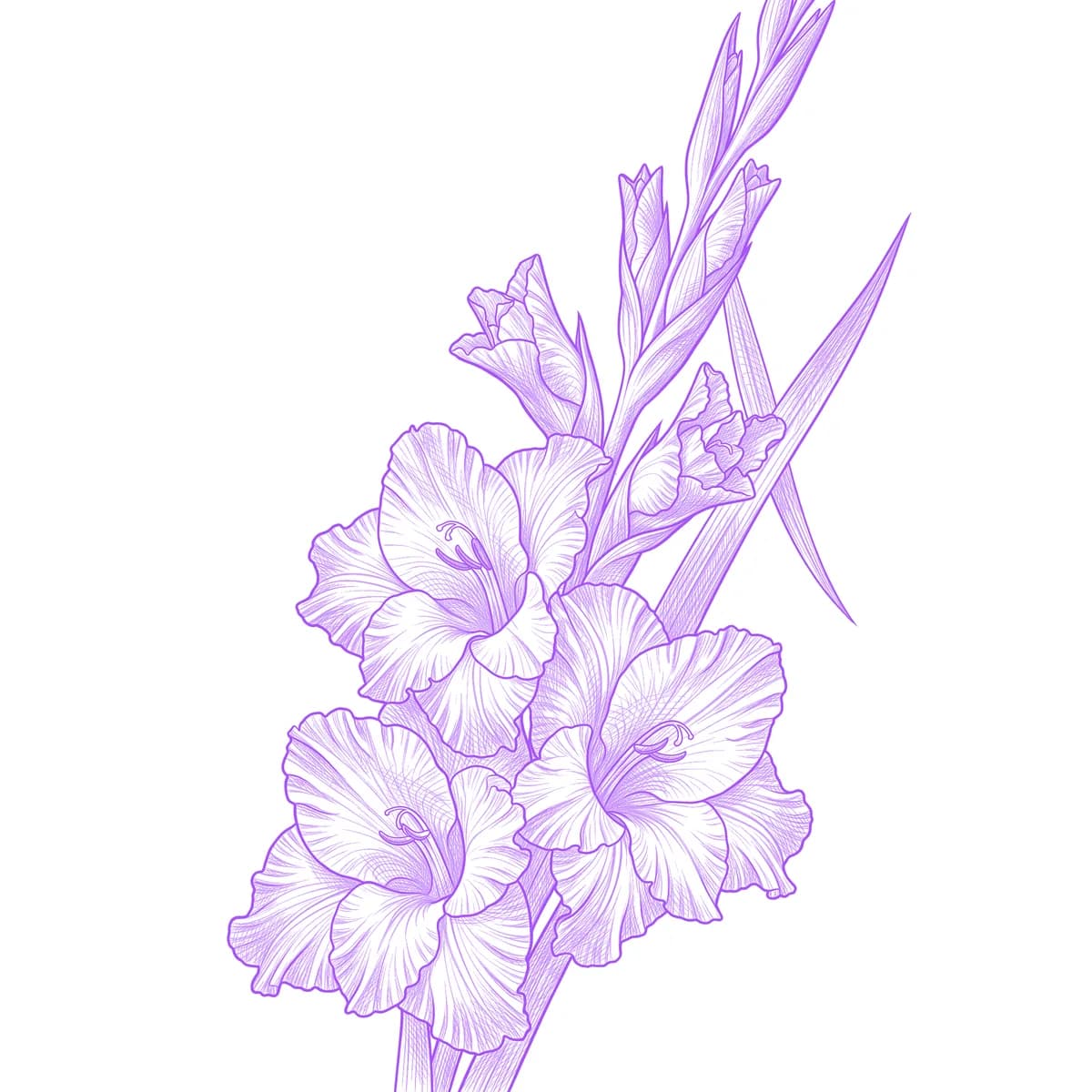 Gladiolus Tattoo Stencil