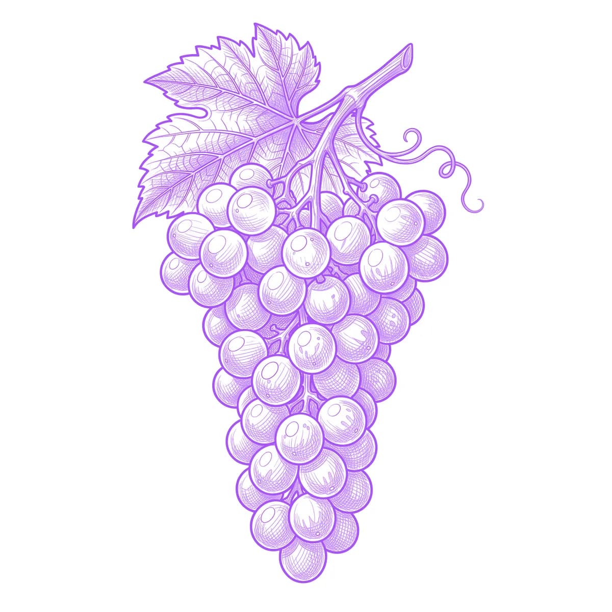 Grapes Tattoo Stencil